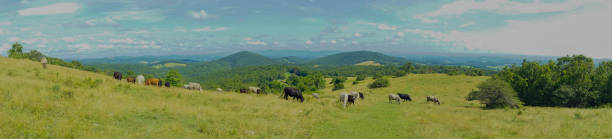 istock Rocky Knob Gorge Hike Panorama 1160616158