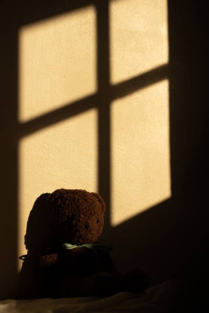 Cuddly toy teddy bear brown on a windows light sunset