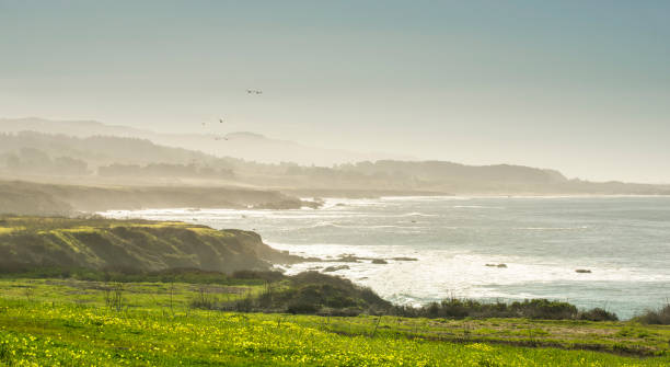 istock Pigeon Point Beach, California 1160618626