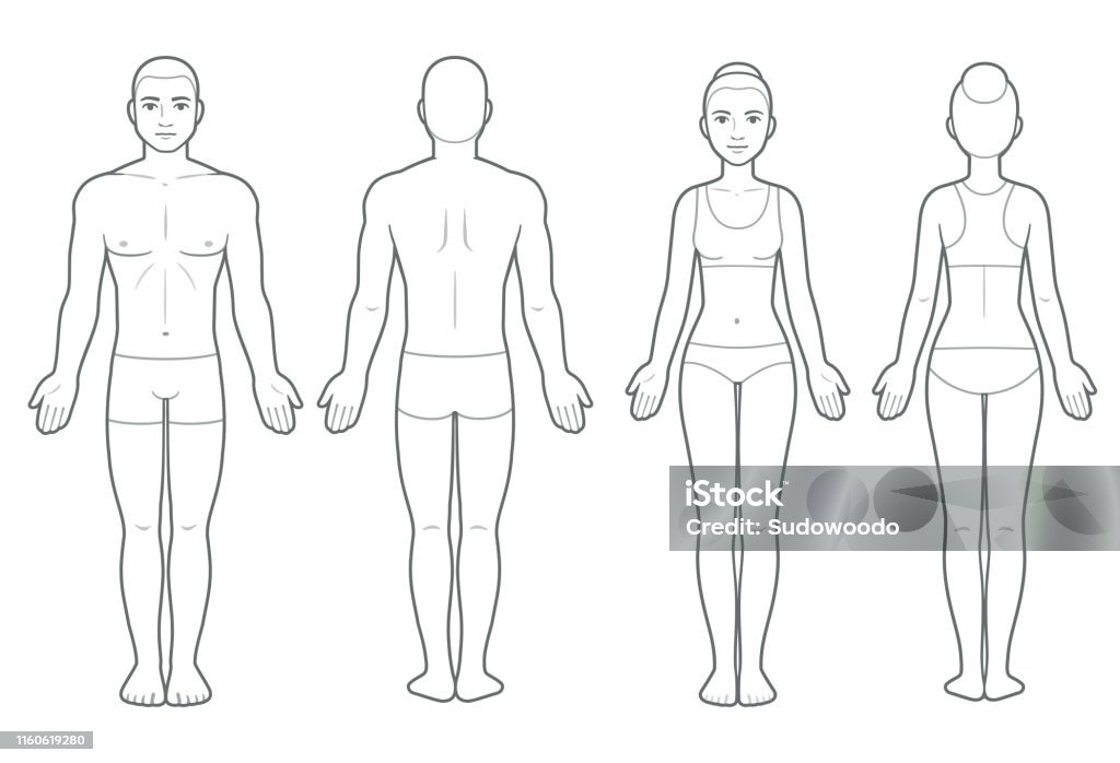 Erkek ve kadın vücut şeması - Royalty-free İnsan Vücudu Vector Art