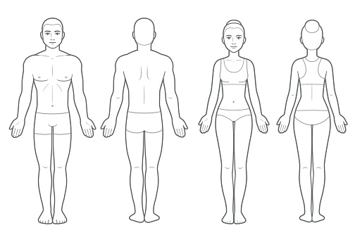 Male And Female Body Chart Stock Illustration - Download Image Now