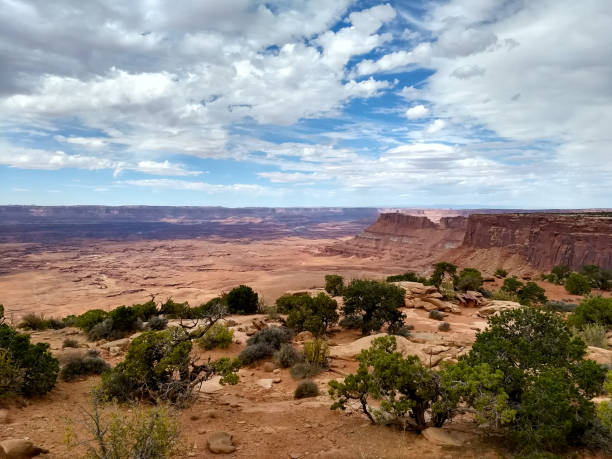 istock Red Rocks at Canyonlands national park 1160623067
