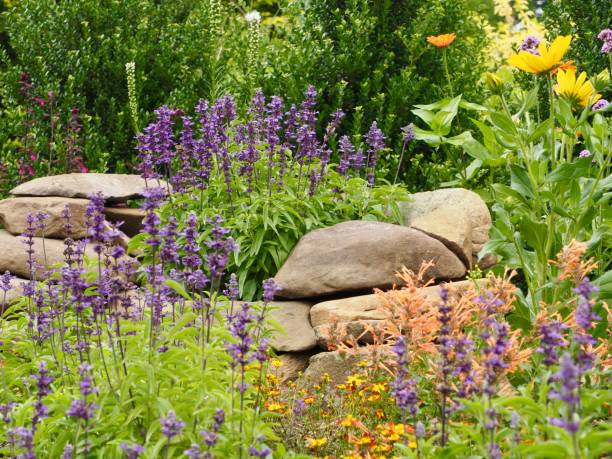istock Flower Garden 1160626118