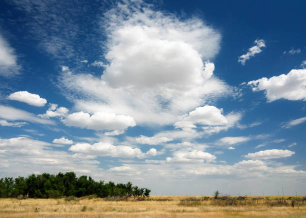 istock Summer landscape of the steppe white clouds on a blue sky 1160628789