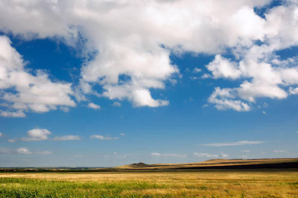 istock Summer landscape yellow field white clouds on blue sky 1160628790
