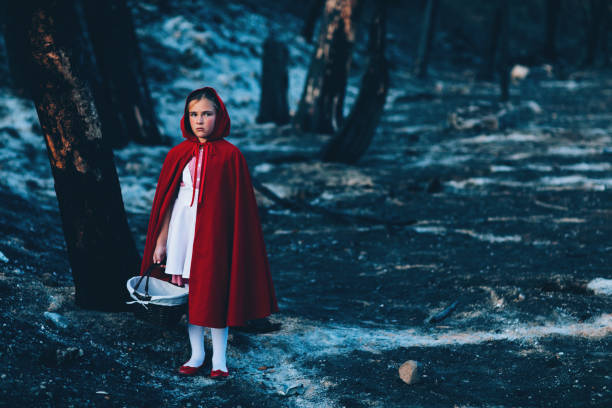 A little girl dressed as Little Red Riding Hood is wearing a red hood while walking through a burned out forest during Halloween. She has a worried expression on her face and is scared of the dark woods and shadows. Image taken in Utah, USA.
