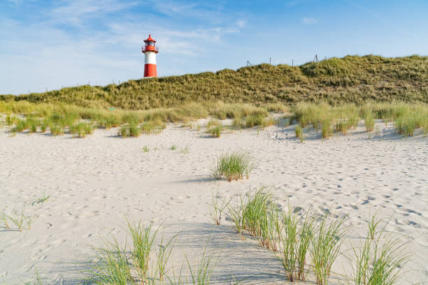 istock Lighthouse red white on dune. Sylt island – North Germany. 1160628961