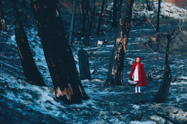 istock Little Red Riding Hood 1160628993