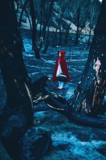 istock Little Red Riding Hood Waiting in Forest 1160628999