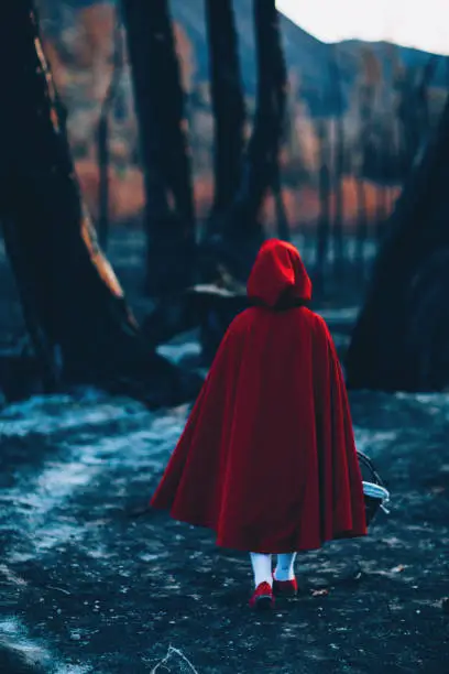 A little girl dressed as Little Red Riding Hood is wearing a red hood while walking through a burned out forest during Halloween. She has a worried expression on her face and is scared of the dark woods and shadows. Image taken in Utah, USA.