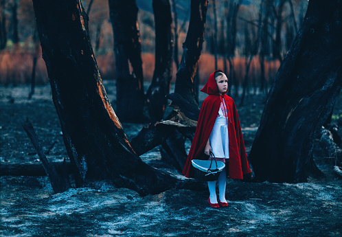 A little girl dressed as Little Red Riding Hood is wearing a red hood while walking through a burned out forest during Halloween. She has a worried expression on her face and is scared of the dark woods and shadows. Image taken in Utah, USA.