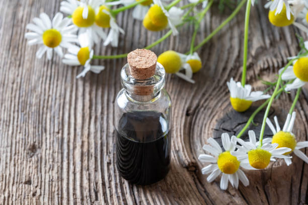 A bottle of dark blue German chamomile essential oil and fresh chamomile flowers A bottle of dark blue German chamomile essential oil with fresh plant glass medicine blue bottle stock pictures, royalty-free photos & images