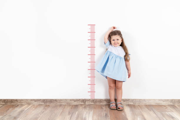 Little blond girl measuring height on white wall. stock photo