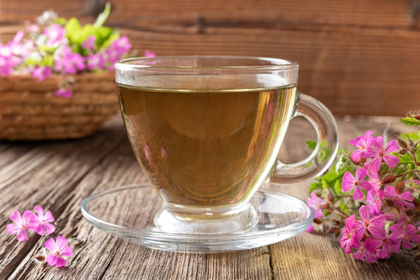istock A cup of herbal tea with fresh Geranium robertianum plant 1160631067