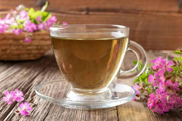 A cup of herbal tea with fresh Geranium robertianum flowers