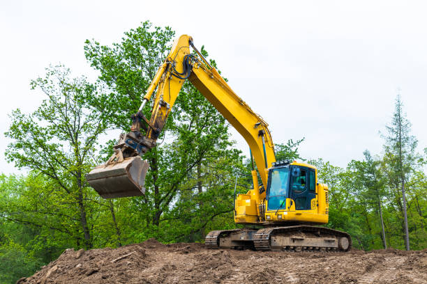 yellow crawler excavator with operator cab on construction site. backhoe loader. - treetop tree sky blue imagens e fotografias de stock