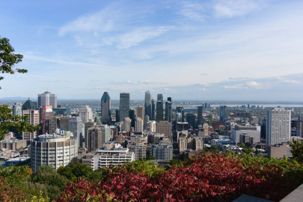 istock City and nature 1160632285