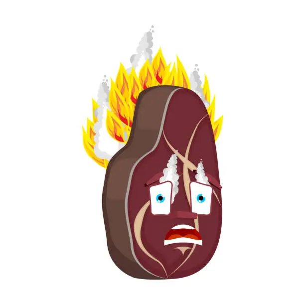 Vector illustration of Steak Fire isolated. burning meat Cartoon Style. beefsteak Vector