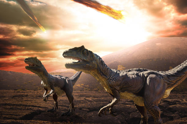 dinosaurs apocalypse day asteroid falling from the sky during dinosaurs apocalypse and extinction day extinct photos stock pictures, royalty-free photos & images