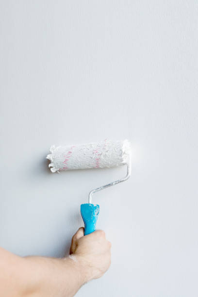 istock Woman hand holding a paint roller isolated on a white background 1160636519