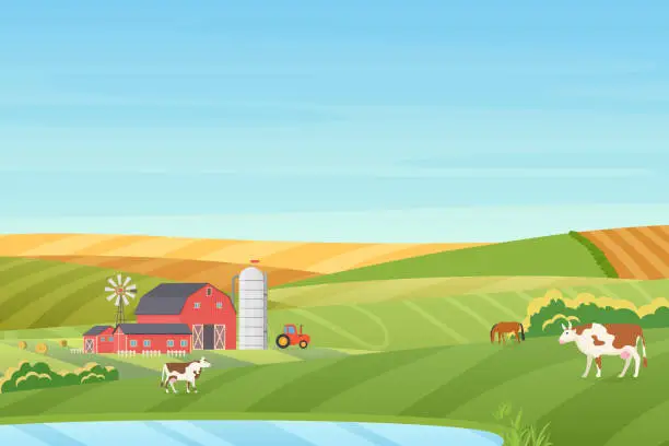 Vector illustration of Summer warm weather farm coutryside landscape with eco cottage, barn, windmill, tractor, silage tower, cow, horse, green and orange fields near the blue clean lake flat vector illustration.