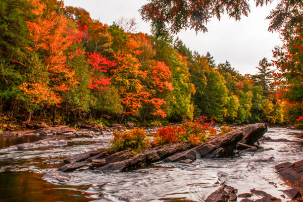 istock Autumn at Oxtongue river 1160640572