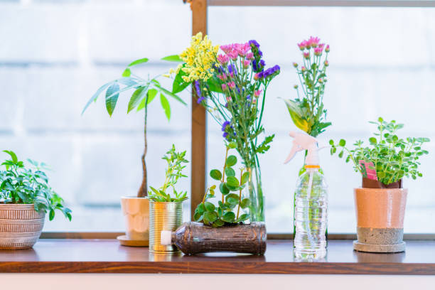Beautiful floers in upcycled pet bottles and cans