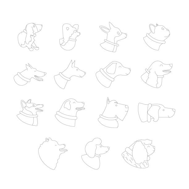 Icons of dogs: french bulldog, toy terrier, spitz, corgi, basset hound, dachshund, rhodesian ridgeback, weimaraner, retriever, spaniel, komondor, doberman, poodle, mittelschnauzer. Icons of dogs: french bulldog, toy terrier, spitz, corgi, basset hound, dachshund, rhodesian ridgeback, weimaraner, retriever, spaniel, komondor, doberman, poodle, mittelschnauzer. Vector illustration cocker spaniel poodle mix stock illustrations