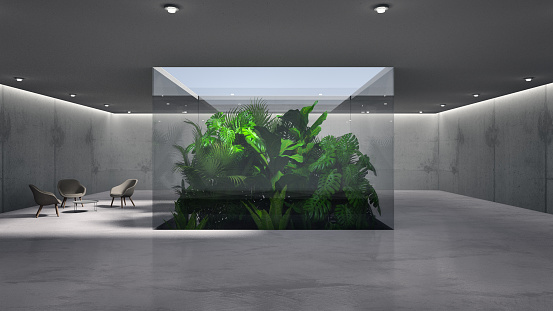 Empty modern building with skylight and inner garden