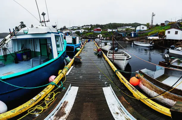 Photo of Newfoundland Outport Town