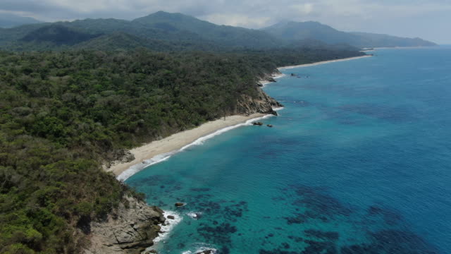 Aerial drone shot of a Columbian beach and forest