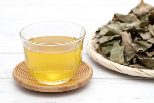 Houttuynia cordata tea, healthy dokudami cold drink on white background