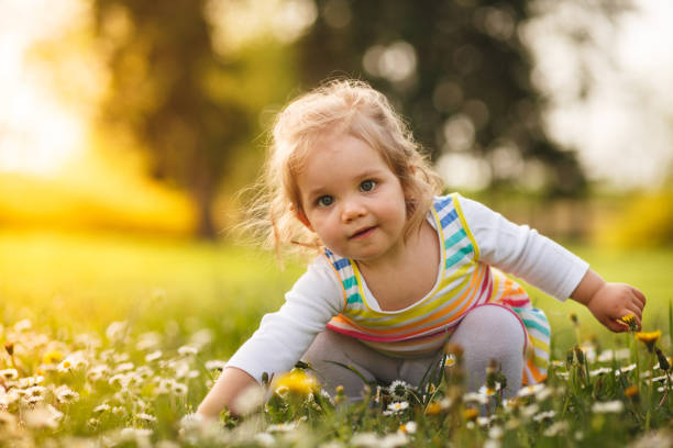 istock Picking flowers in the sunshine 1160659521
