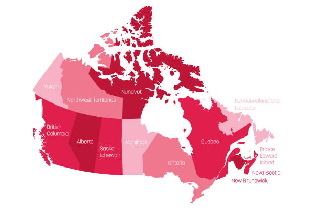 ilustraciones, imágenes clip art, dibujos animados e iconos de stock de mapa de canadá dividido en 10 provincias y 3 territorios. regiones administrativas de canadá. mapa rosa con etiquetas. ilustración vectorial - territories