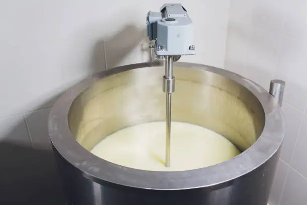 curdled milk brought to high temperature for the production of cheese in the dairy