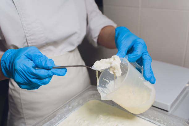istock Traditional Cheese Making In A Small Company. Cheese Maker Hands Close-up Top View. 1160660523