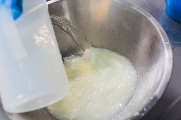 istock Traditional Cheese Making In A Small Company. Cheese Maker Hands Close-up Top View. 1160660572