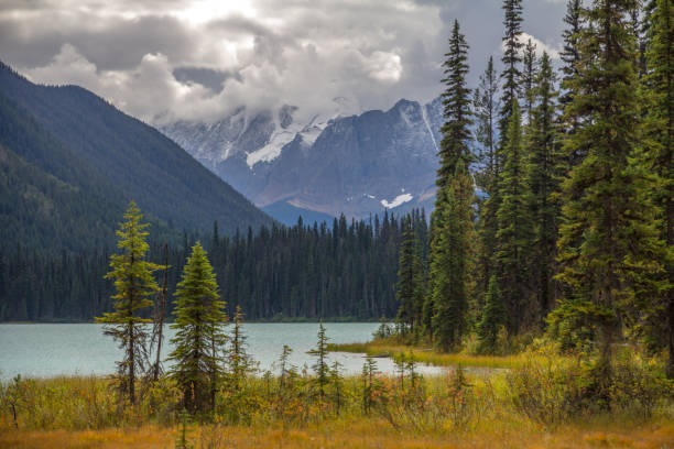 istock Clouds brought fresh snow to mountains above Emerald Lake, BC 1160661910