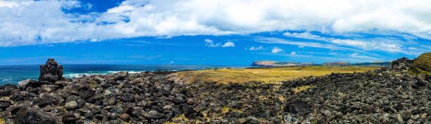 istock View of Easter Island shore 1160666156