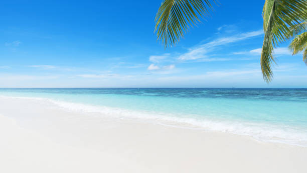 Beautiful tropical beach landscape Beautiful tropical beach landscape bohol photos stock pictures, royalty-free photos & images