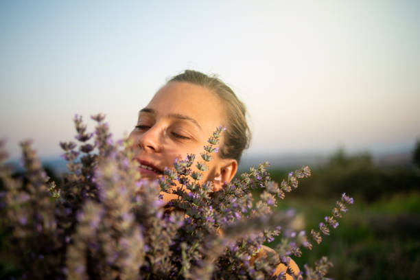 istock A bouquet of lavender 1160674318