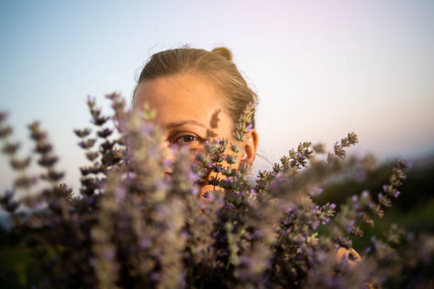 istock A bouquet of lavender 1160674956