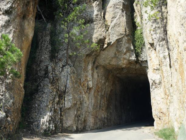 istock Needle's Eye Tunnel, Custer State Park 1160680018