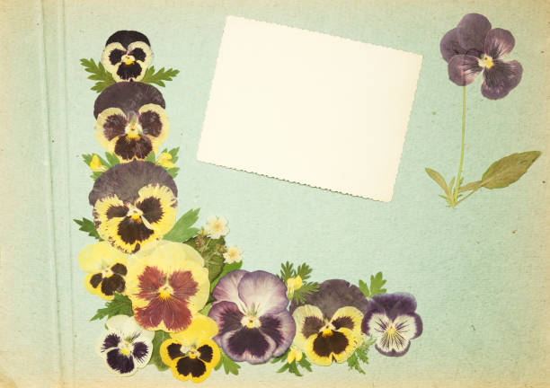 istock Page from old photo album, scrapbooking element. 1160682582