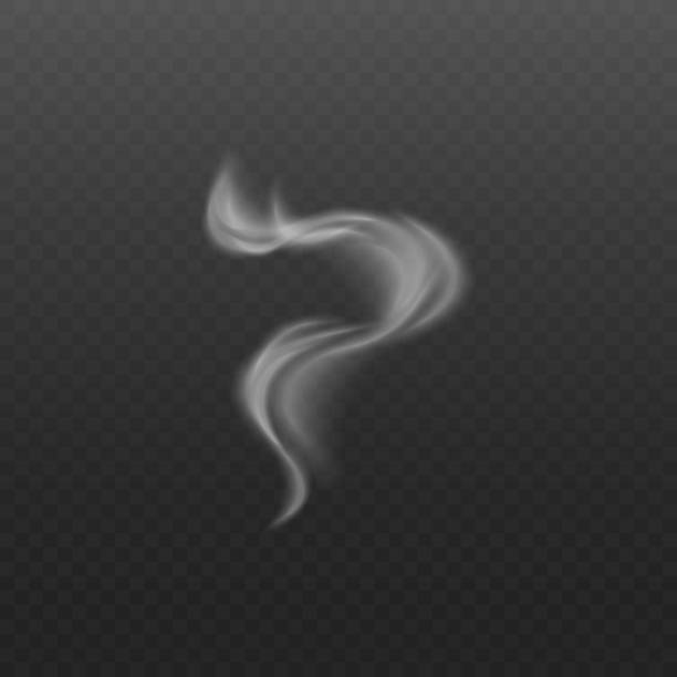 ilustrações de stock, clip art, desenhos animados e ícones de smoke or steam wave from cigarette and hot food vector 3d illustration isolated. - cigarette tobacco symbol three dimensional shape