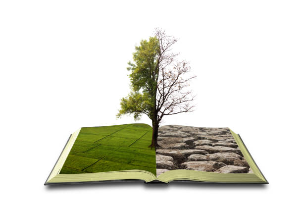 istock Concept an open book. Bipolarity. On one side, nature, on another smog and a drought isolated on white background 1160687036