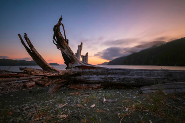 istock Vancouver Island Seascape 1160687082