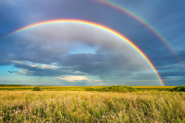 istock Rainbow over stormy sky in countryside at summer day 1160690663