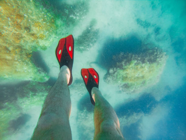 istock mans legs in red flippers underwater snorkeling. underwater view 1160691040