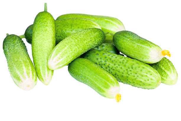 cetrioli verdi freschi isolati - clipping path harvesting freshness obsessive foto e immagini stock